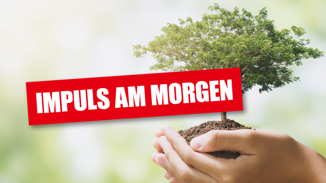 Impuls_am_Morgen
