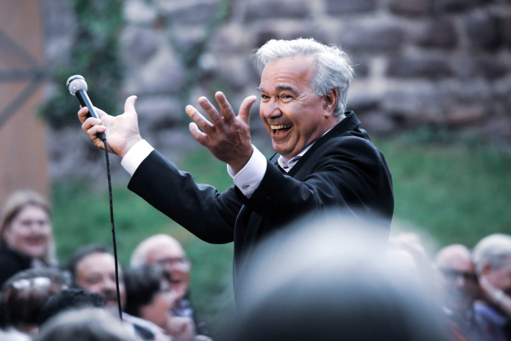 Chefsache – Stefan Gwildis